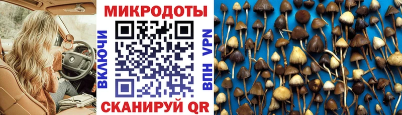 Галлюциногенные грибы MAGIC MUSHROOMS  Сарапул 